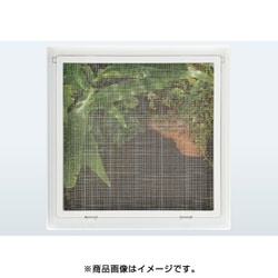 ヨドバシ.com - GEX ジェックス レプテリアホワイト 300CUBE