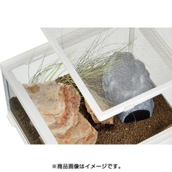 レプテリア　300CUBE　6個セット Amazon.co.jp: エキゾテラ GEX EXOTERRA レプテリアホワイト
