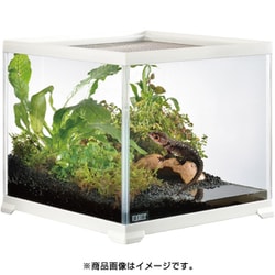ヨドバシ.com - GEX ジェックス レプテリアホワイト 300CUBE