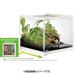 ヨドバシ.com - GEX ジェックス レプテリアホワイト 300CUBE ヨドバシ.com - GEX ジェックス レプテリアホワイト 300CUBE
