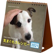 ほぼ日ホワイトボードカレンダー2021 卓上 気まぐれカレンダー [2021年1月始まり]