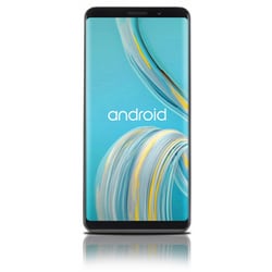 ヨドバシ.com - エフエックステック F(x)tec Android 9.0/6インチ/メモリ 6GB/ストレージ  128GB/物理キーボード搭載/ブラック/SIMフリースマートフォン Pro1 通販【全品無料配達】