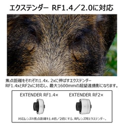 キャノン　Canon EXTENDER EF 1.4x II ヨドバシ.com - キヤノン Canon RF800mm F11 IS STM [単焦点