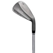 MASTER MODEL LS（マスターモデル） アイアンセット Lynx POWER TUNED（カーボン） （R） 6本組（5I-9I、PW）  2020年モデル [ゴルフ アイアンセット]