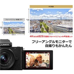 ヨドバシ.com - パナソニック Panasonic DC-G100K-K [LUMIX G100 K