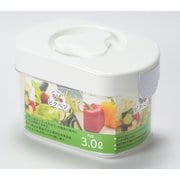 HB-5397 [ピクベジ 角型漬物器 3L]