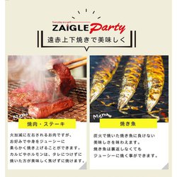 ヨドバシ.com - ザイグル ZAIGLE ZG-KJ2011 [ZAIGLE プレート2枚セット