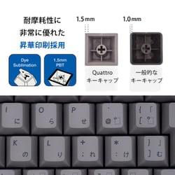 ヨドバシ.com - ARCHISS アーキス Quattro TKL（クワトロ テンキーレス） ポインティングスティック搭載 メカニカルテンキーレス キーボード 日本語JIS配列 91キー 黒ボディ グレーキーキャップ モデル CHERRY MX 静音赤軸 AS-KBQ91/SRGBA  通販【全品無料配達】