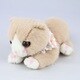 chaton（シャトン） 子猫ぬいぐるみ ベージュ [キャラクターグッズ]
