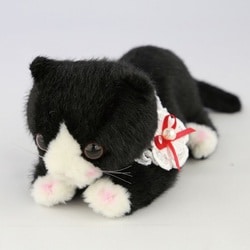 〜シャトン子猫のぬいぐるみご説明ページ〜 猫 ぬいぐるみ ネコ グッズ たけのこ TAKENOKO シャトン