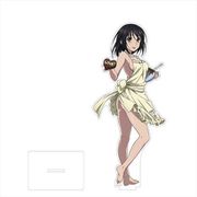 ストライク・ザ・ブラッド BIGアクリルスタンド 姫柊 雪菜/エプロン [キャラクターグッズ]
