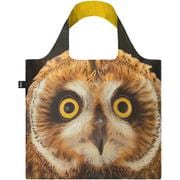 LOQI NATIONAL GEOGRAPHIC エコバッグ/Short-eared Owl [エコバッグ]