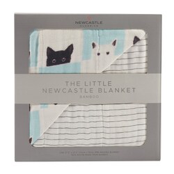 リトルブランケット バンブー Peek-A-BooCats & Pencil Stripe NC-LBB3304