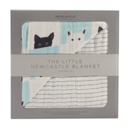 NC-LBB3304 [リトルブランケット バンブー Peek-A-BooCats & Pencil Stripe]