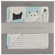 NC-BB725 [ブランケット バンブー Peek-A-Boo Cats & Pencil Stripe]