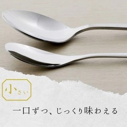 ヨドバシ.com - 猫舌堂 猫舌堂 イイサジー 揃 spoon & fork set 通販【全品無料配達】