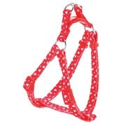 ARFashion ハートドットハーネス S レッド