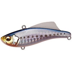 BIRAN 70（ビラン 70） 20g GG イワシ