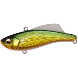 BIRAN 70（ビラン 70） 20g GG グリーンゴールド