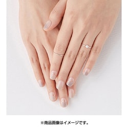 ダッシングディバのネイルチップ 手爪用　足爪用 ダッシングディバのネイルチップ 手爪用 足爪用 Clear White