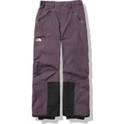 スラッシュバックパンツ Slashback Pant NS62006 ルートブラウン(RB) Lサイズ [スキーウェア パンツ メンズ]