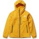 FLベントリックスジャケット FL Ventrix Jacket NP62011 サミットゴールド(SG) Sサイズ [アウトドア レインジャケット メンズ]