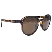 LOW KEY TORTOISE/BROWN [スポーツサングラス]