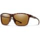 Pinpoint（ピンポイント） ASIAN FIT（3パターン） 205001204 Matte Tort/CHROMAPOP Polarized Brown [スポーツサングラス]