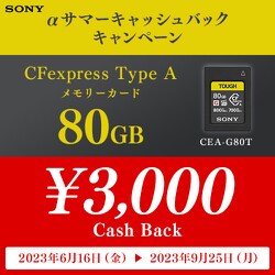 ヨドバシ.com - ソニー SONY CEA-G80T [CFexpress Type A メモリー 