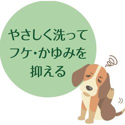 ヨドバシ Com ライオン商事 ペットキレイ ペットキレイ 皮フを守る 泡リンスインシャンプー 犬用 230ml 通販 全品無料配達