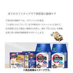 猫用 メディファス スープ 11歳から しらす・かつお節入り 40g×144枚 メディファス 猫用 パウチ スープ11歳から しらす・かつお節入り
