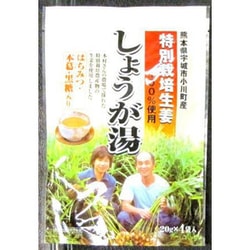 イトク食品 特別栽培しょうが湯 20gX4