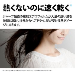 ヨドバシ.com - シャープ SHARP プラズマクラスタードライヤー
