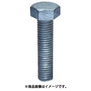 00010006200080 六角ボルト(スチール・全ネジタイプ)