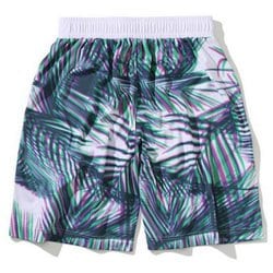ヨドバシ.com - スポルディング SPALDING SMP201170