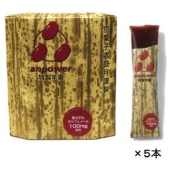 「anpower（アンパワー）」 5本入り [エネルギー補給ようかん]