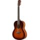 CSF1M TBS