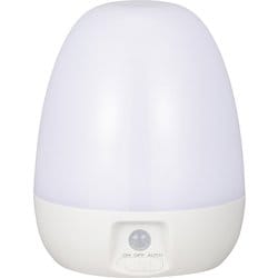 LEDナイトライト 人感明暗センサー 80lm 屋内用 電池式 NIT-BLA6JE-WN