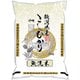 無洗米新潟県産こしひかり 2kg 令和6年産