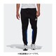 30395 GM6544 J/O [M adidas Z.N.E. Pant ブラック/チームロイヤルブルー]