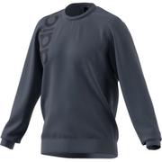 IXV88 GD5942 J/L [M NEW AUTHENTIC スウェット レガシーブルー]