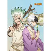 Dr.STONE B2タペストリー [キャラクターグッズ]