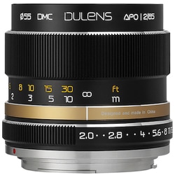 毒鏡 DULENS APO 85mm F2 D85APO_BK （F） [APO 85mm F2  ブラック ニコンFマウント]