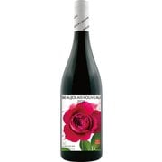 ボージョレ・ヌーボー 2020 ハーフ 375ml フランス/ブルゴーニュ [赤ワイン]