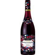 ボジョレー・ヴィラージュ ヌーヴォー 2020 750ml フランス [赤ワイン]