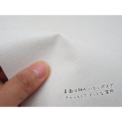 ヨドバシ Com 菊池襖紙工場 Kn09 補修用シールふすま紙 無地 30cm 30cm 1枚入 通販 全品無料配達