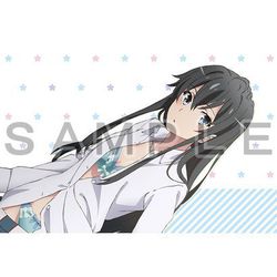 やはり俺の青春ラブコメはまちがっている。続 雪乃＆結衣 描き下ろしカーテン Amazon.co.jp: やはり俺の青春ラブコメはまちがっている。続