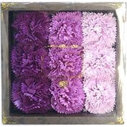 カーネーションフレグランス 9輪入り カーネL