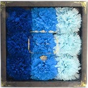 カーネーションフレグランス 9輪入り カーネB