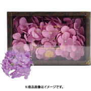 アジサイフレグランス 3輪入り 750809